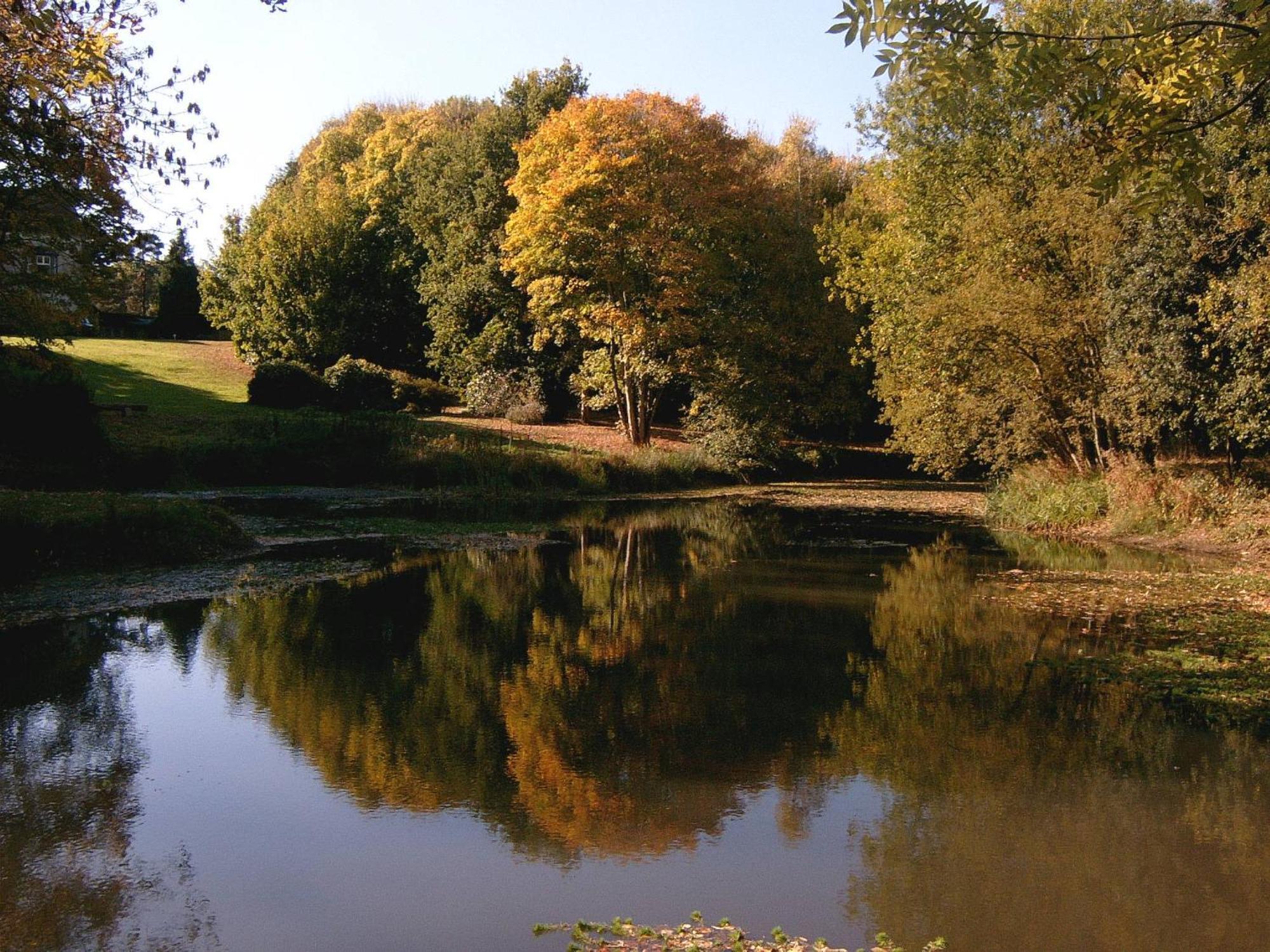 Glyndley Manor Cottages ポールゲート エクステリア 写真